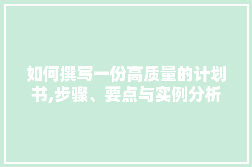 如何撰写一份高质量的计划书,步骤、要点与实例分析