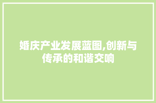 婚庆产业发展蓝图,创新与传承的和谐交响