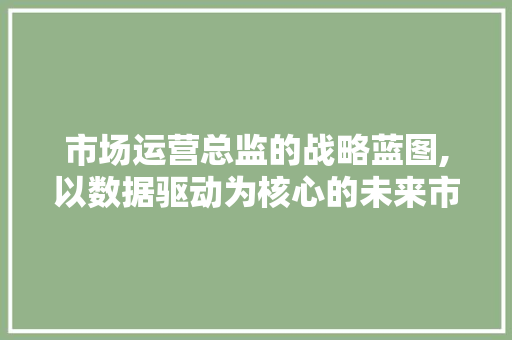 市场运营总监的战略蓝图,以数据驱动为核心的未来市场布局