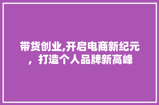 带货创业,开启电商新纪元，打造个人品牌新高峰