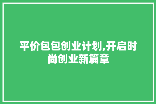 平价包包创业计划,开启时尚创业新篇章