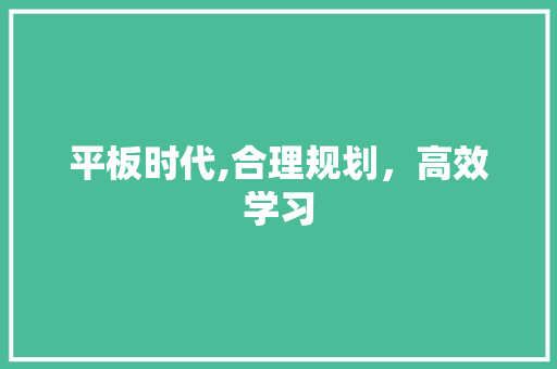 平板时代,合理规划，高效学习