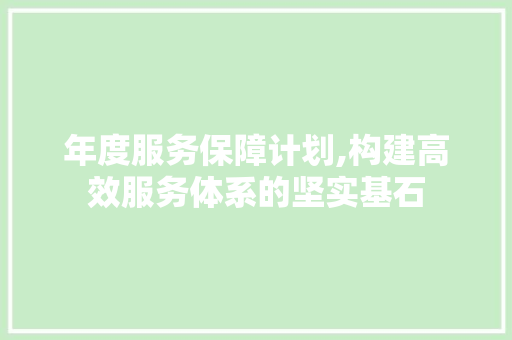 年度服务保障计划,构建高效服务体系的坚实基石 名人名言