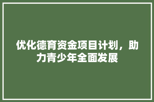 优化德育资金项目计划，助力青少年全面发展