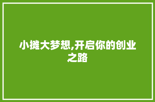 小摊大梦想,开启你的创业之路