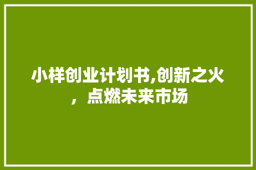 小样创业计划书,创新之火，点燃未来市场
