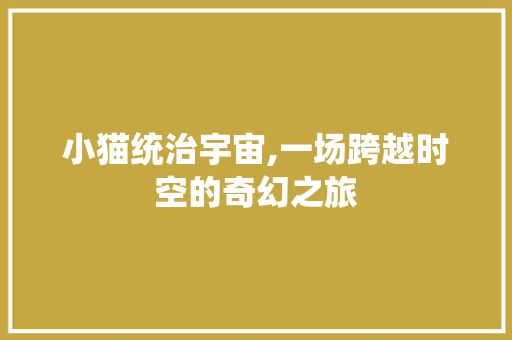 小猫统治宇宙,一场跨越时空的奇幻之旅