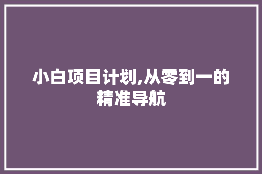 小白项目计划,从零到一的精准导航