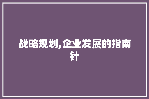 战略规划,企业发展的指南针