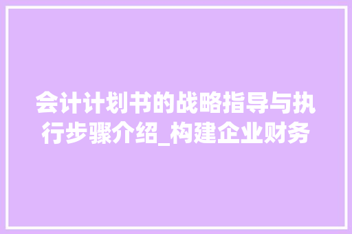 会计计划书的战略指导与执行步骤介绍_构建企业财务稳健之路