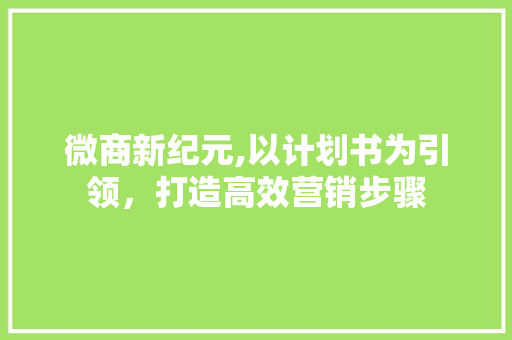 微商新纪元,以计划书为引领，打造高效营销步骤
