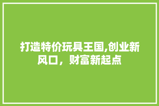 打造特价玩具王国,创业新风口，财富新起点