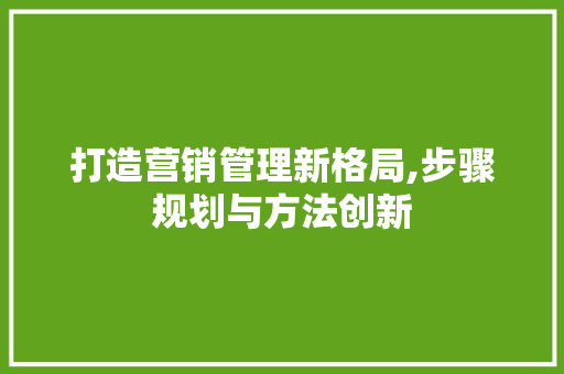 打造营销管理新格局,步骤规划与方法创新