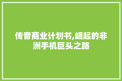 传音商业计划书,崛起的非洲手机巨头之路