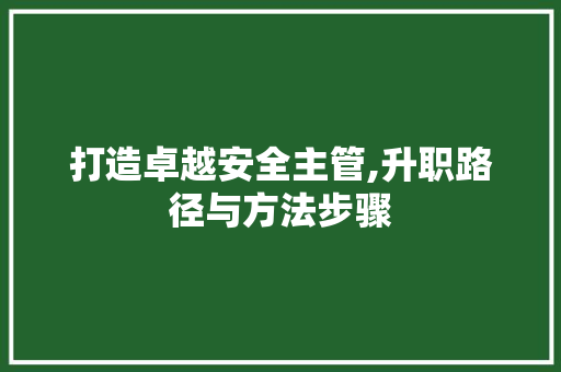 打造卓越安全主管,升职路径与方法步骤