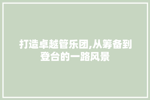 打造卓越管乐团,从筹备到登台的一路风景