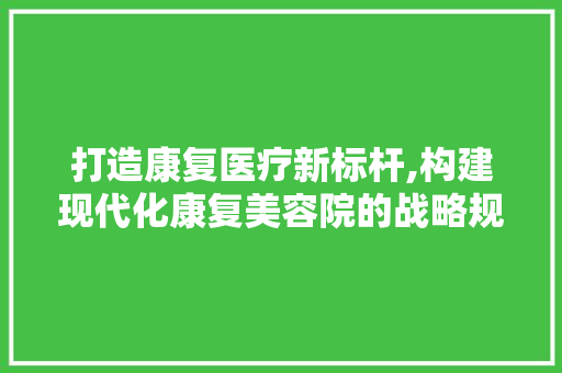 打造康复医疗新标杆,构建现代化康复美容院的战略规划与方法