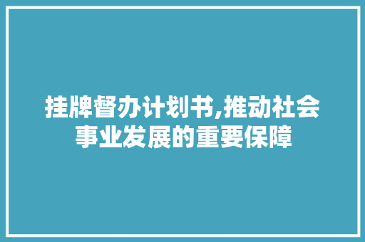 挂牌督办计划书,推动社会事业发展的重要保障