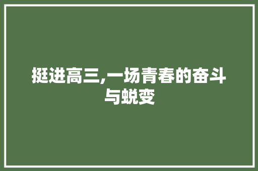 挺进高三,一场青春的奋斗与蜕变