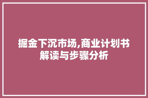掘金下沉市场,商业计划书解读与步骤分析