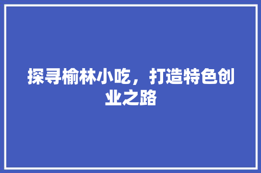 探寻榆林小吃，打造特色创业之路