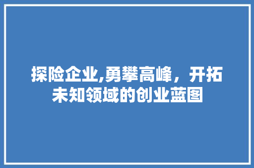 探险企业,勇攀高峰，开拓未知领域的创业蓝图