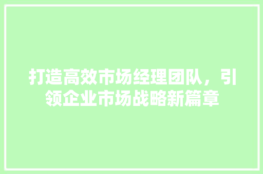 打造高效市场经理团队，引领企业市场战略新篇章 个人简历