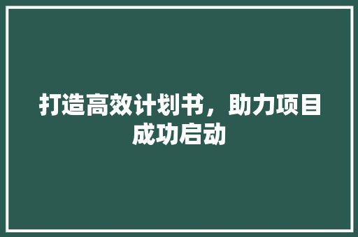 打造高效计划书，助力项目成功启动