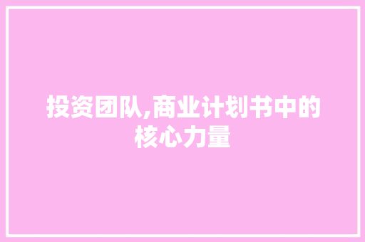 投资团队,商业计划书中的核心力量