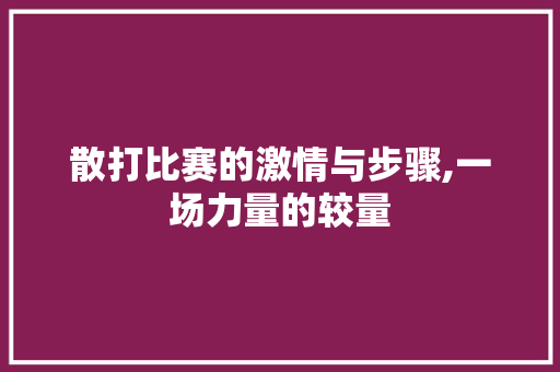 散打比赛的激情与步骤,一场力量的较量