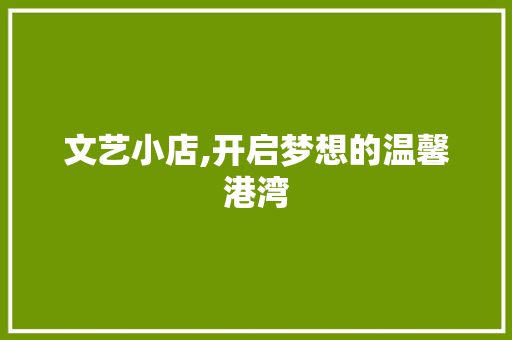 文艺小店,开启梦想的温馨港湾