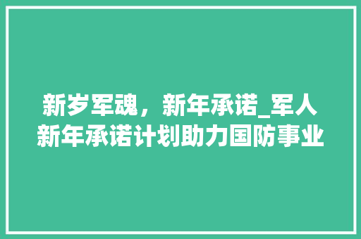 新岁军魂，新年承诺_军人新年承诺计划助力国防事业