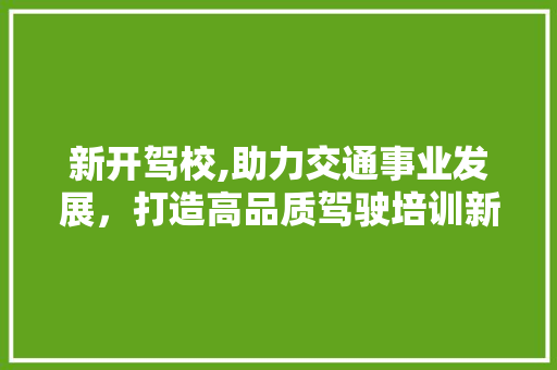 新开驾校,助力交通事业发展，打造高品质驾驶培训新篇章