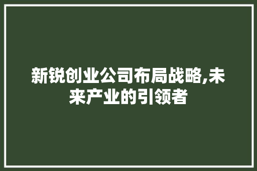新锐创业公司布局战略,未来产业的引领者