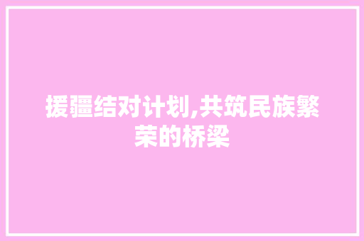 援疆结对计划,共筑民族繁荣的桥梁