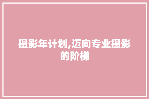 摄影年计划,迈向专业摄影的阶梯