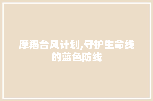 摩羯台风计划,守护生命线的蓝色防线