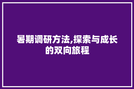 暑期调研方法,探索与成长的双向旅程