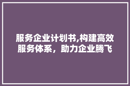 服务企业计划书,构建高效服务体系，助力企业腾飞