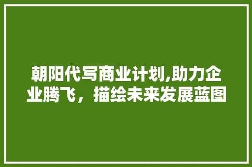 朝阳代写商业计划,助力企业腾飞，描绘未来发展蓝图