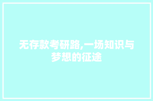 无存款考研路,一场知识与梦想的征途