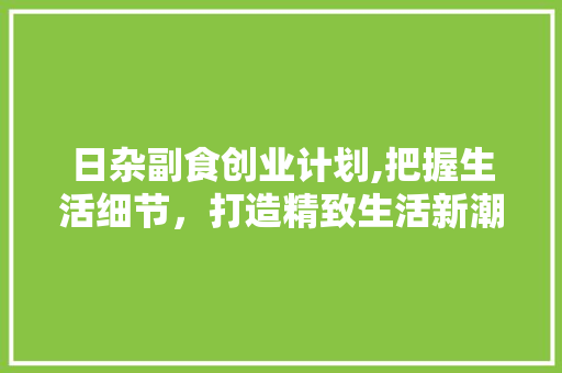 日杂副食创业计划,把握生活细节，打造精致生活新潮流
