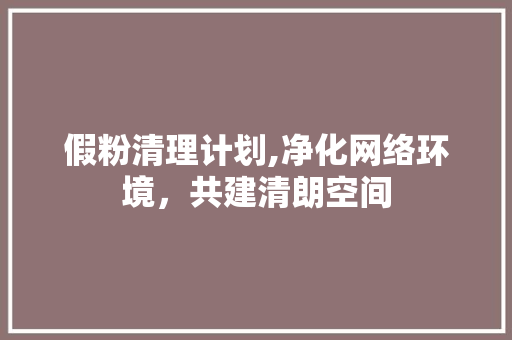 假粉清理计划,净化网络环境，共建清朗空间