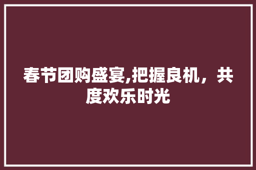 春节团购盛宴,把握良机，共度欢乐时光