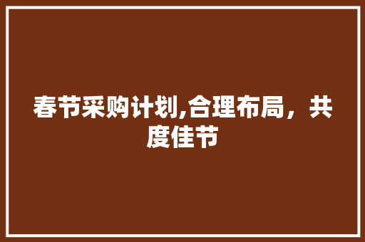春节采购计划,合理布局，共度佳节