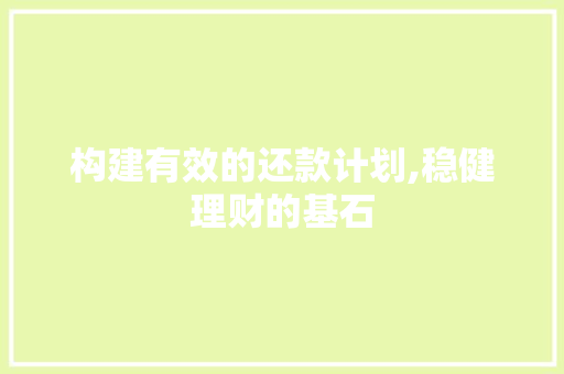 构建有效的还款计划,稳健理财的基石