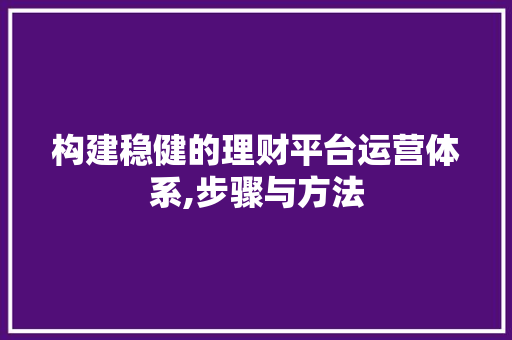 构建稳健的理财平台运营体系,步骤与方法