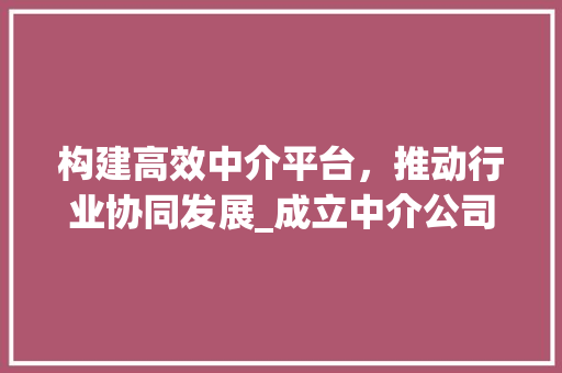 构建高效中介平台，推动行业协同发展_成立中介公司的战略规划