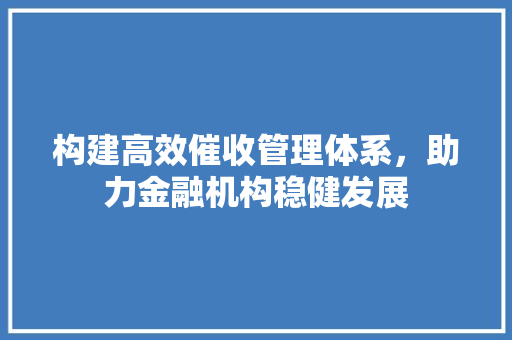 构建高效催收管理体系，助力金融机构稳健发展