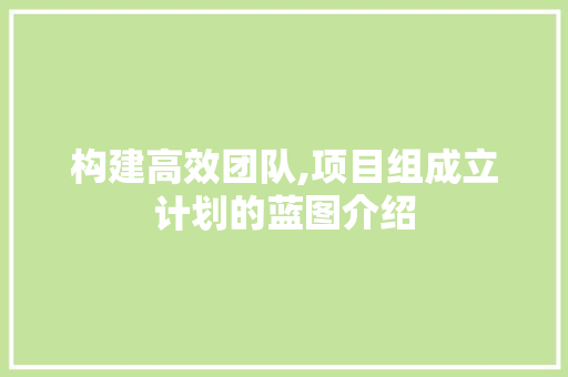 构建高效团队,项目组成立计划的蓝图介绍